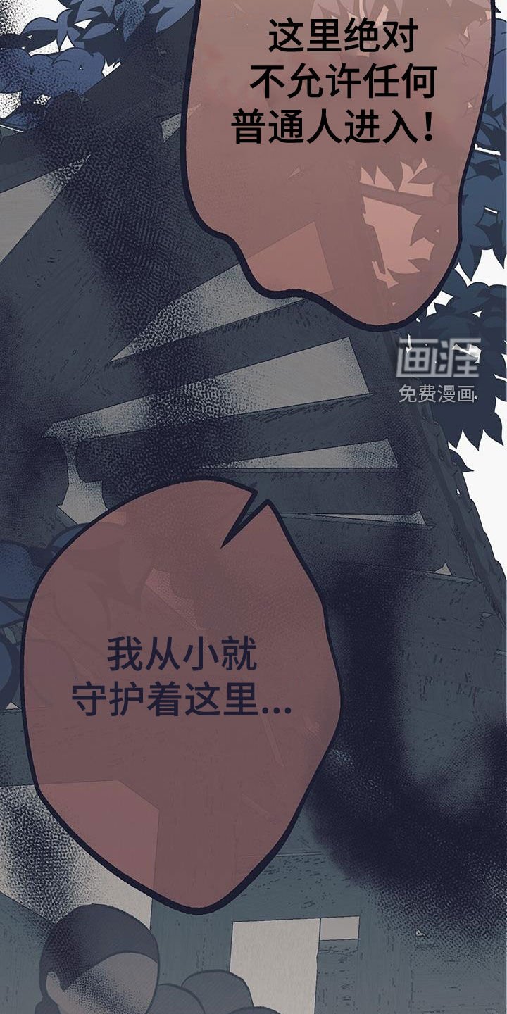 第51章：给我站住