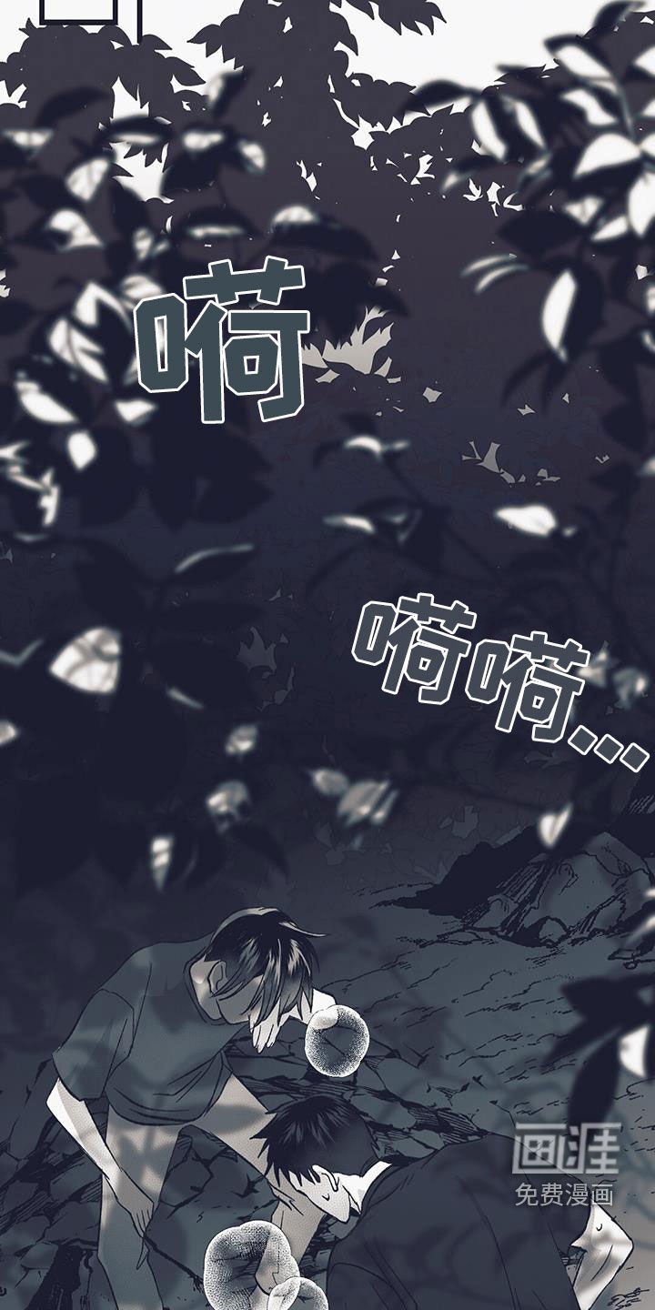 第52章：心事重重