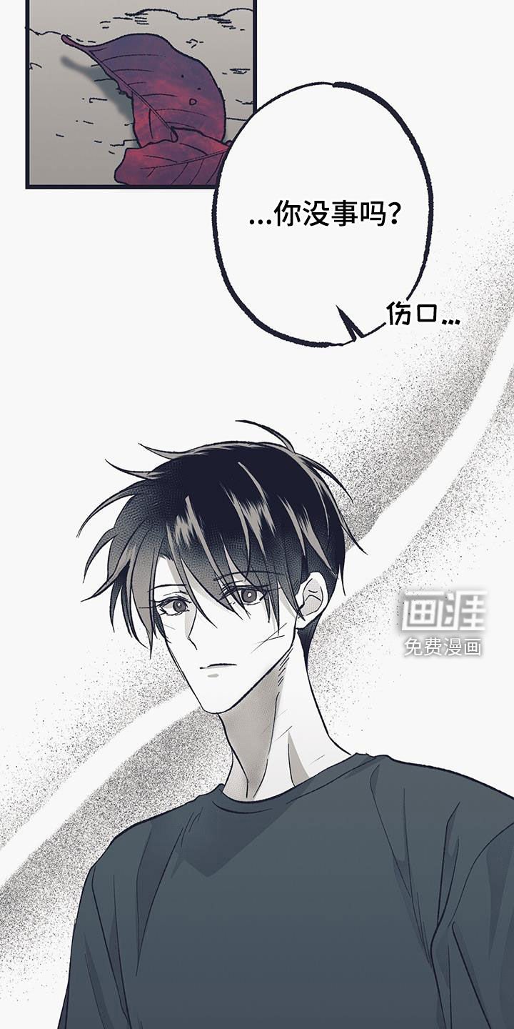 第52章：心事重重