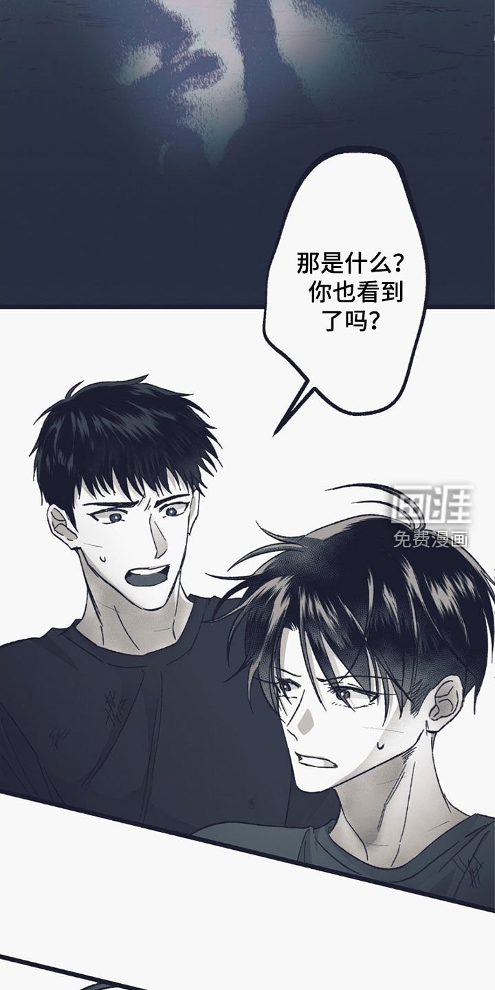 第55章：意外