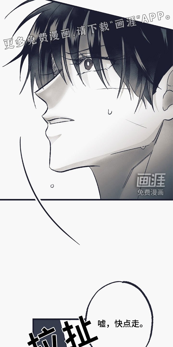第55章：意外
