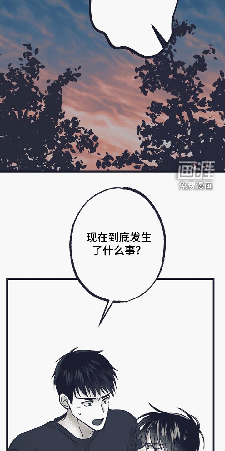 第55章：意外
