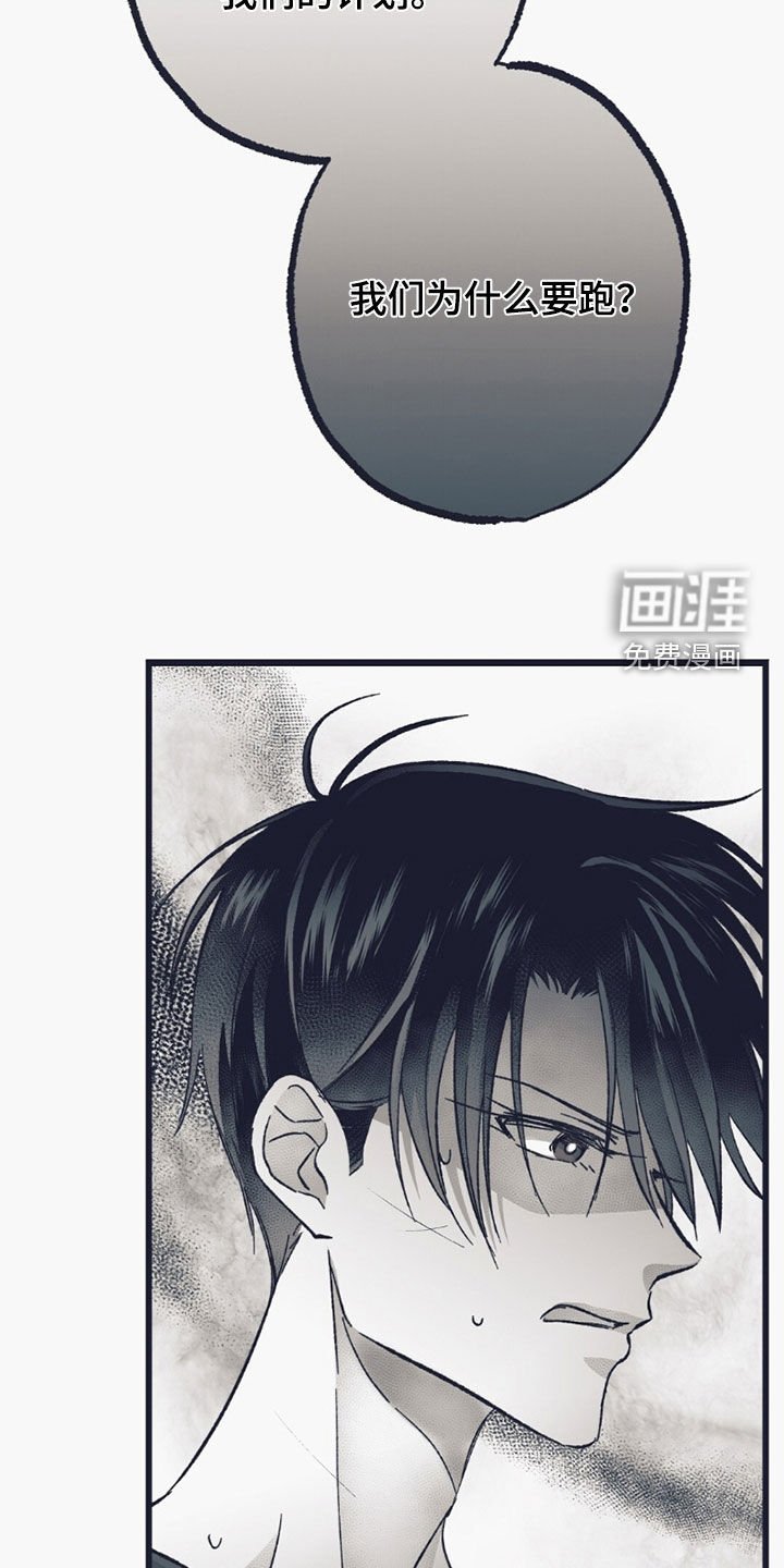 第55章：意外