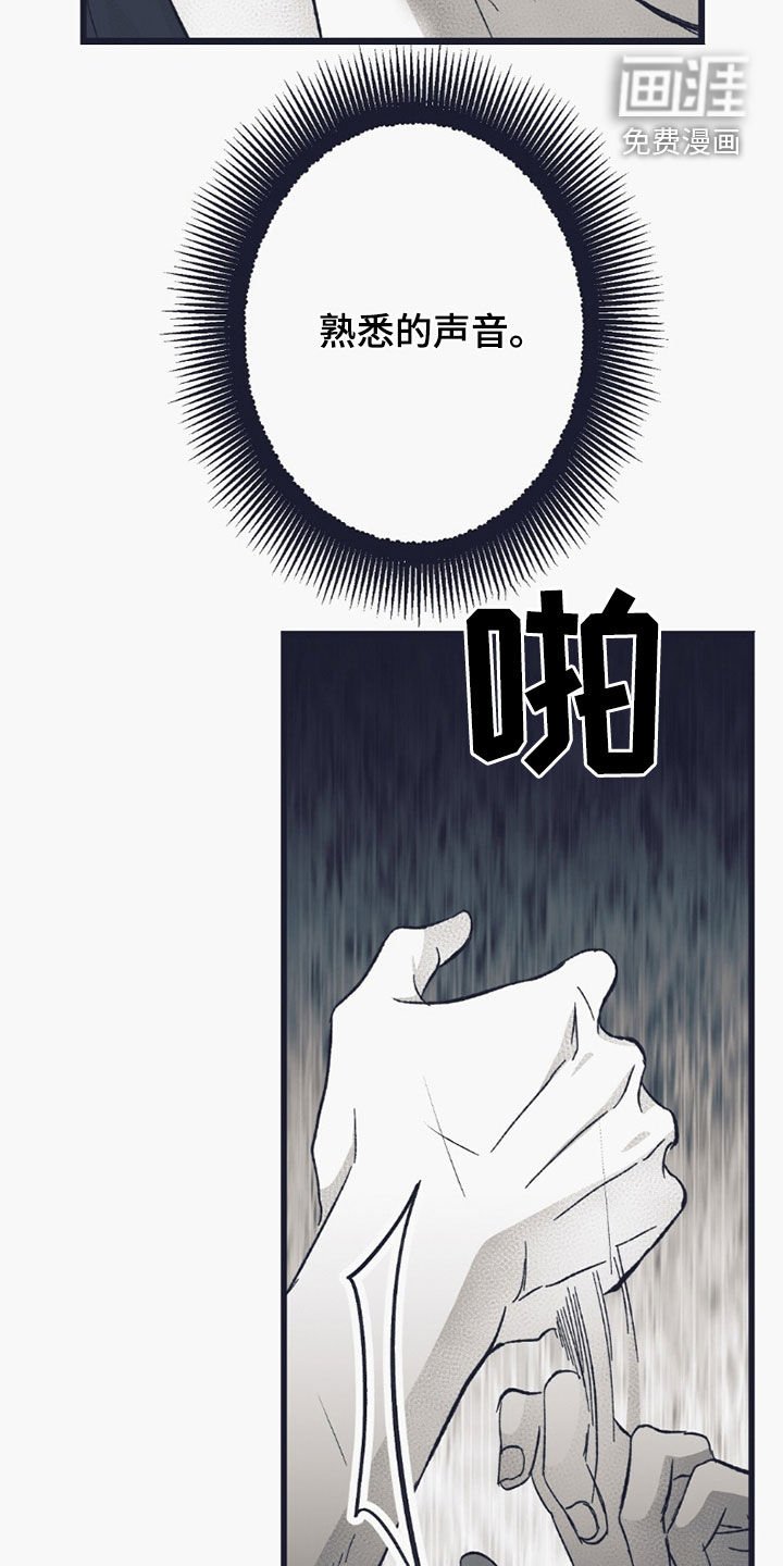 第56章：自食恶果