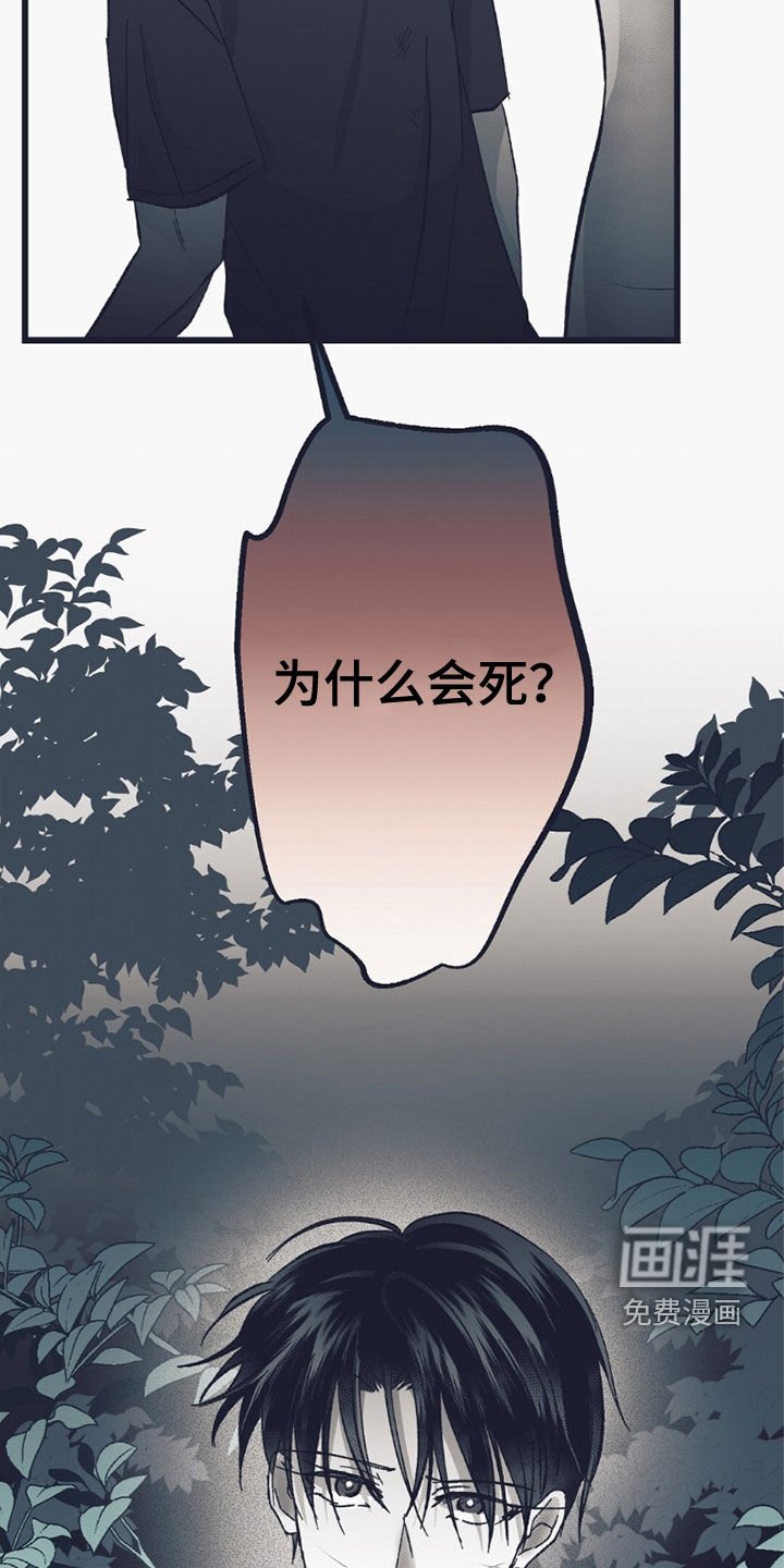 第56章：自食恶果