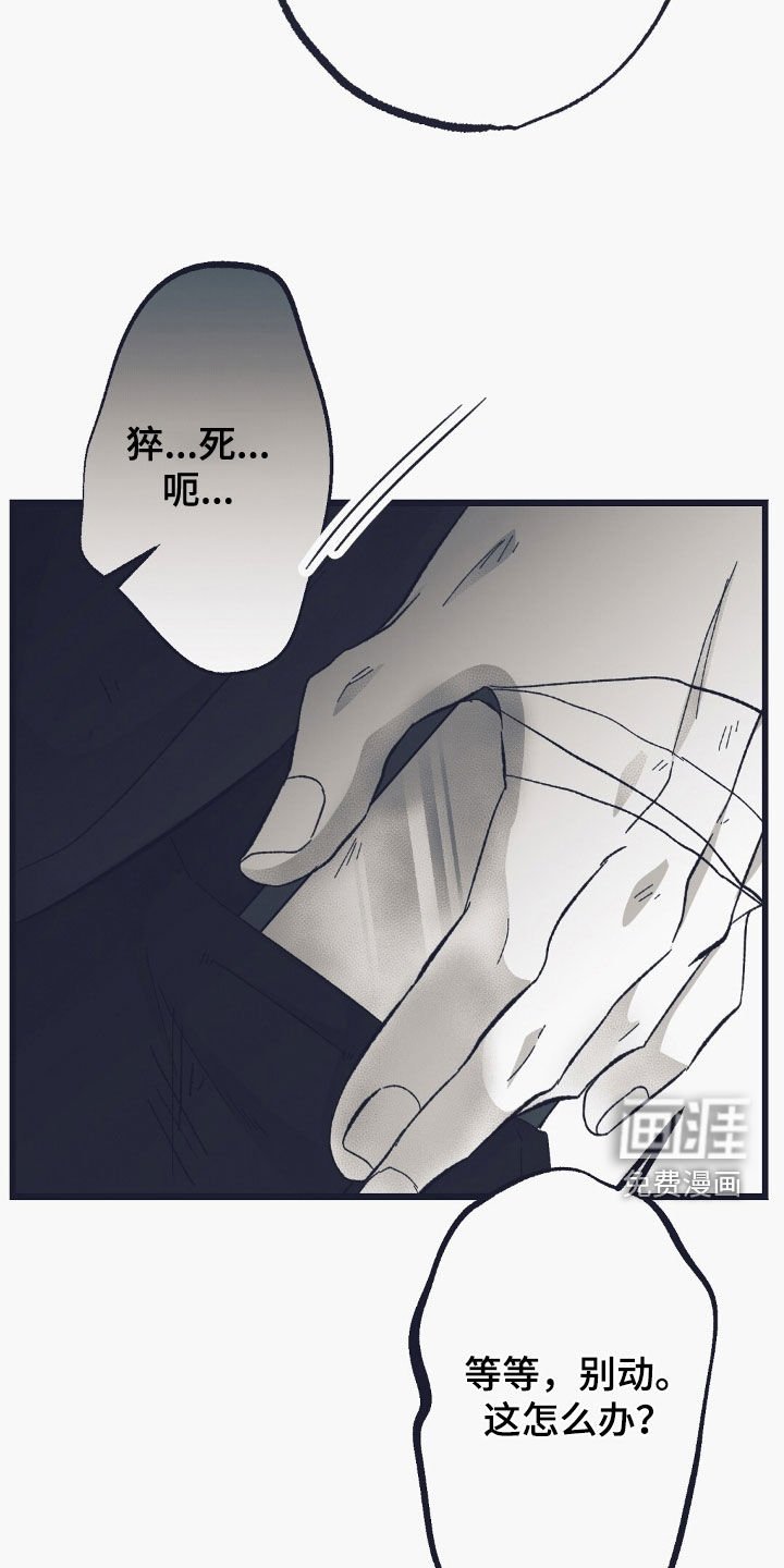 第57章：猝死