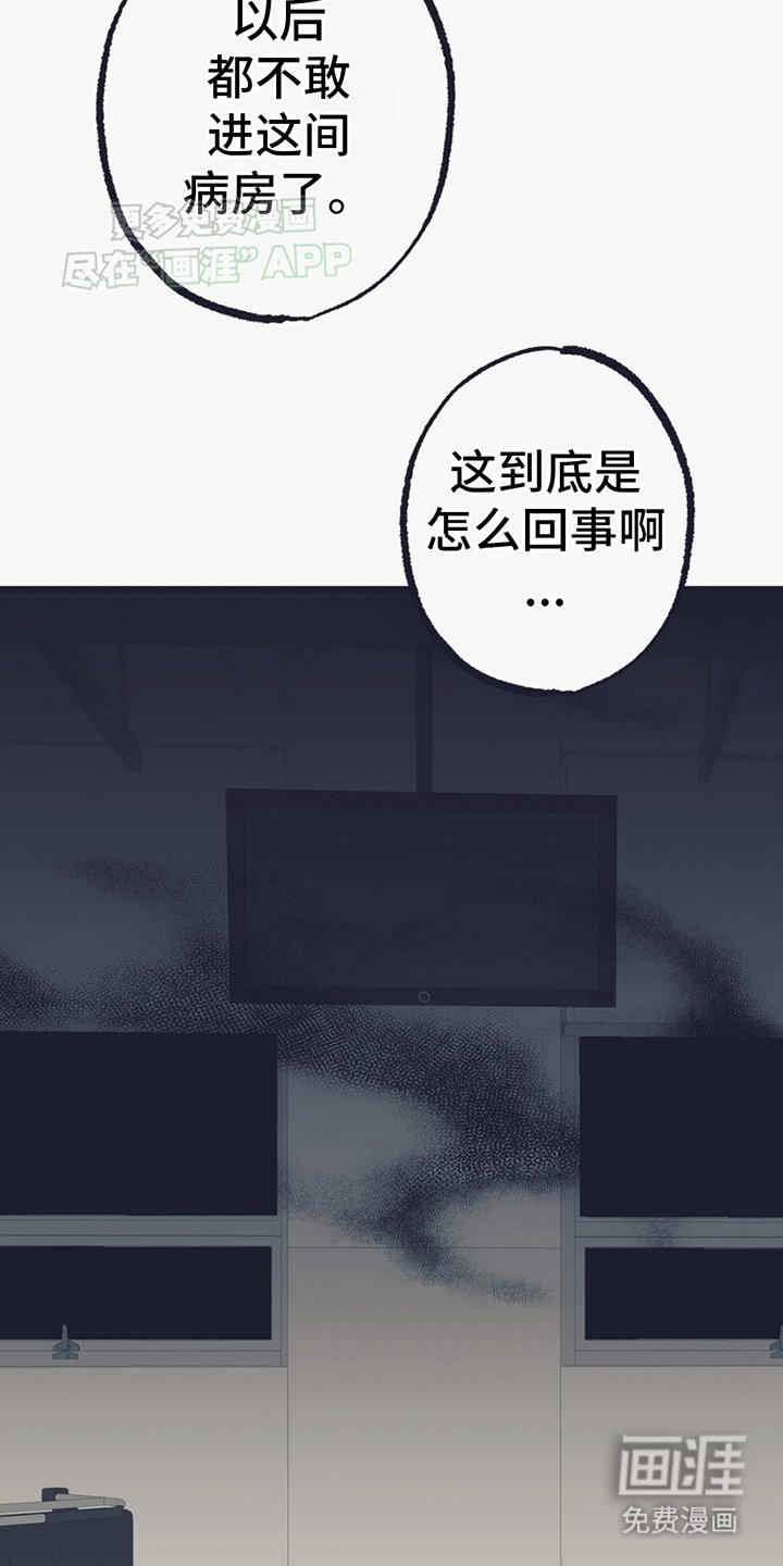 第9章：碎裂