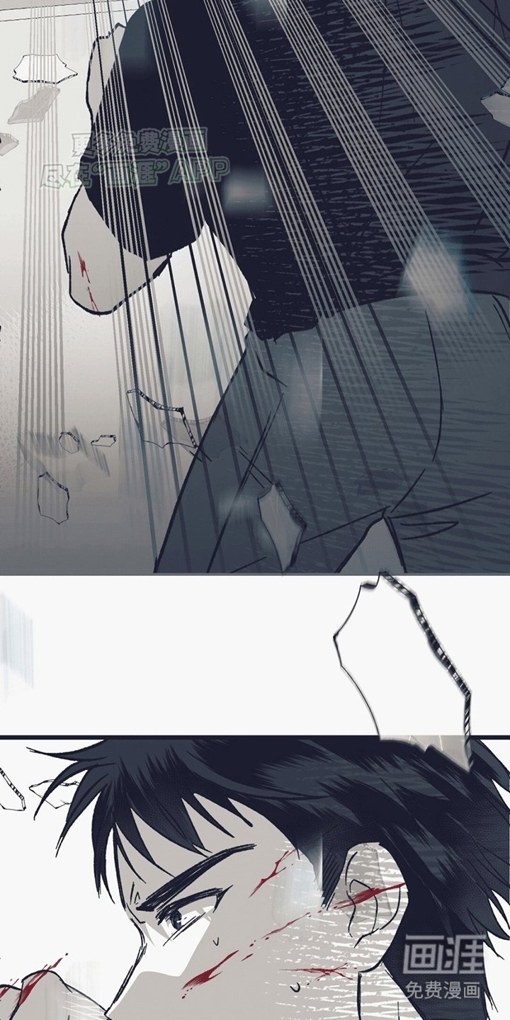 第9章：碎裂