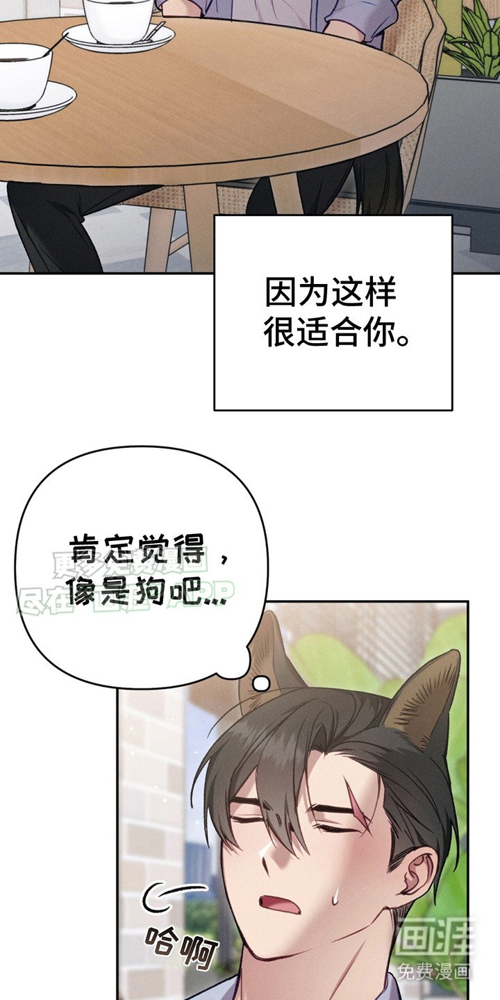 第1章：分手