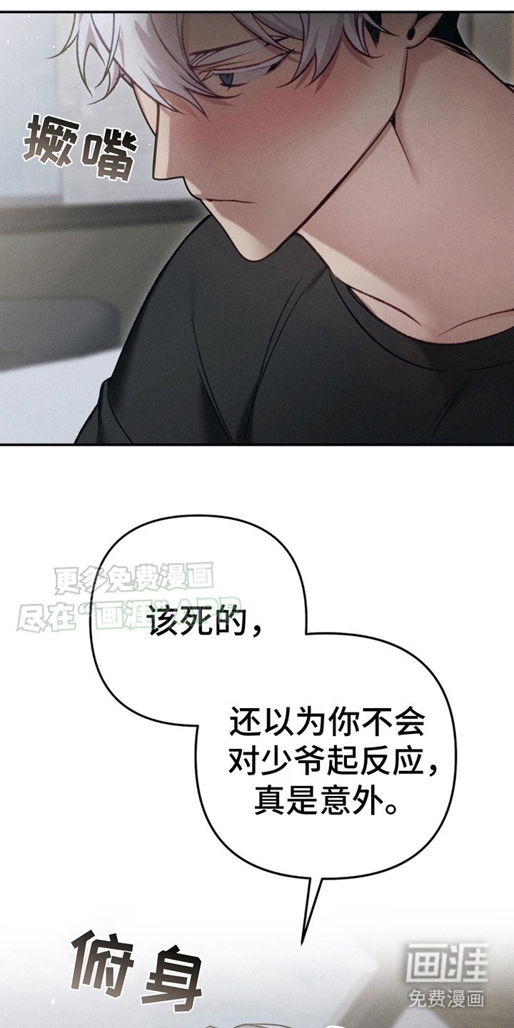 第3章：撒酒疯