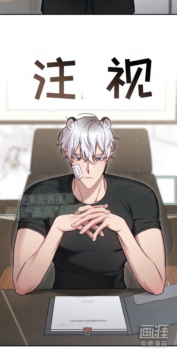 第4章：你得负责