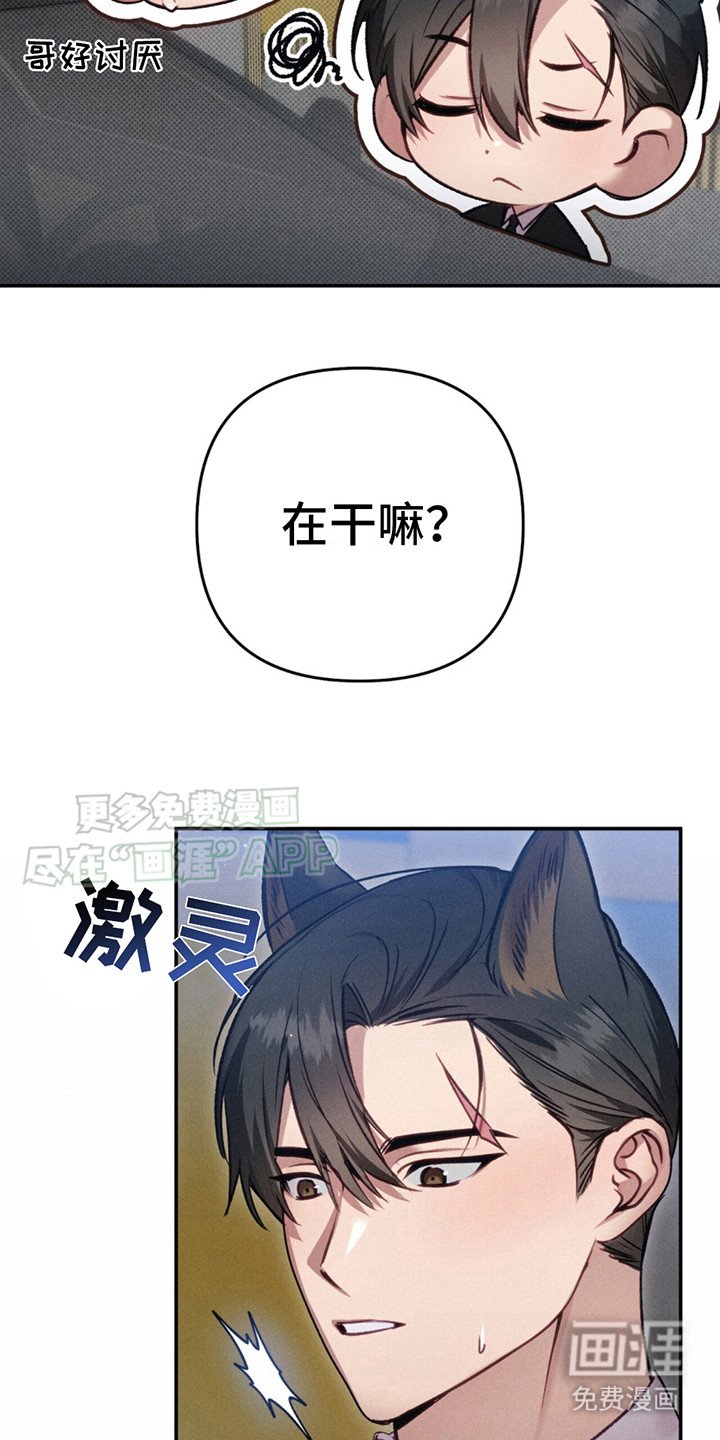 第5章：又来了