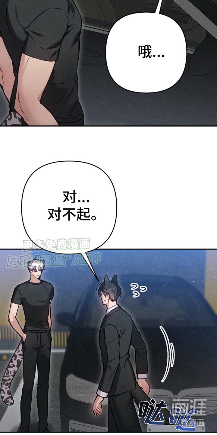 第5章：又来了