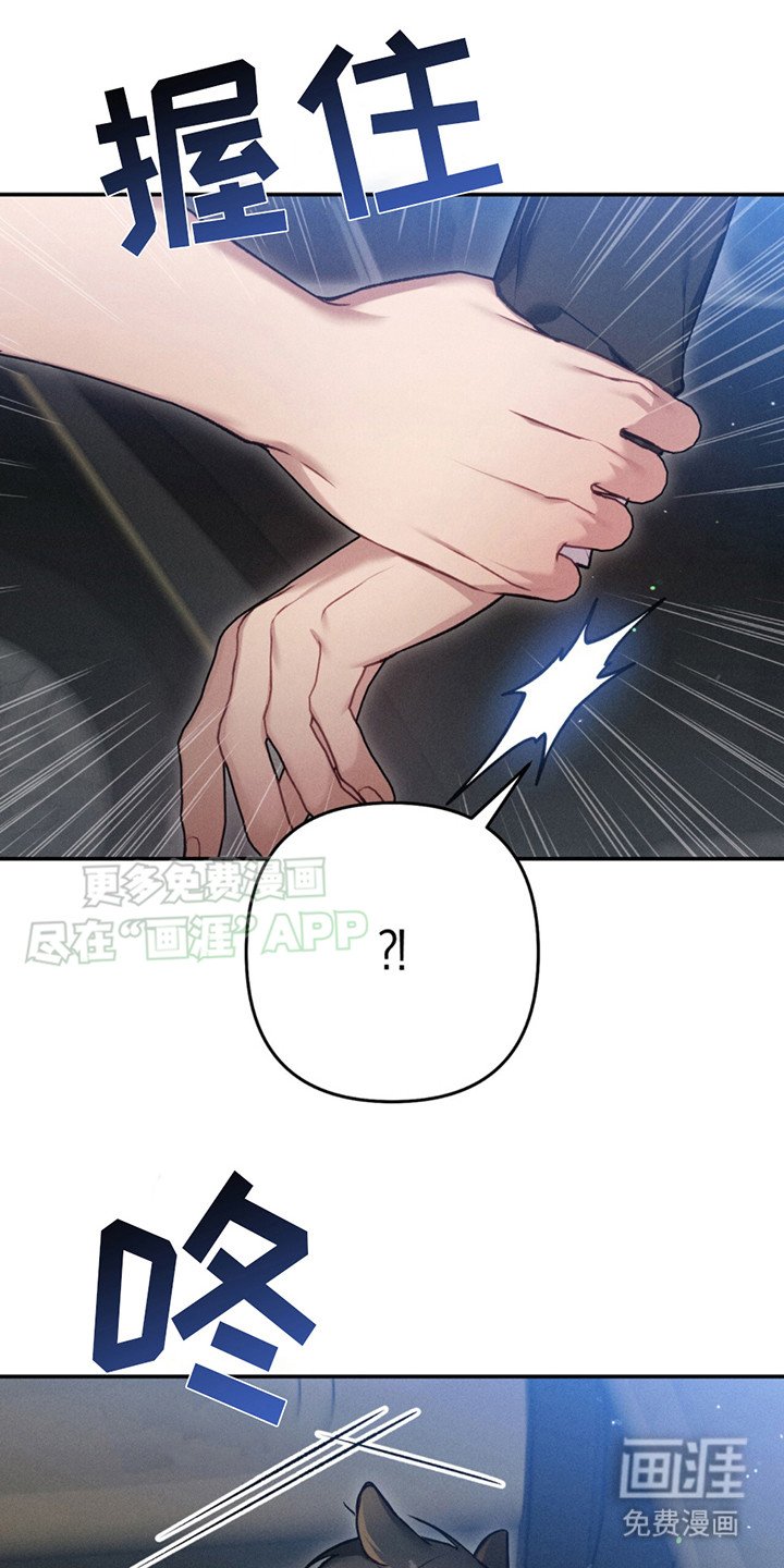 第5章：又来了