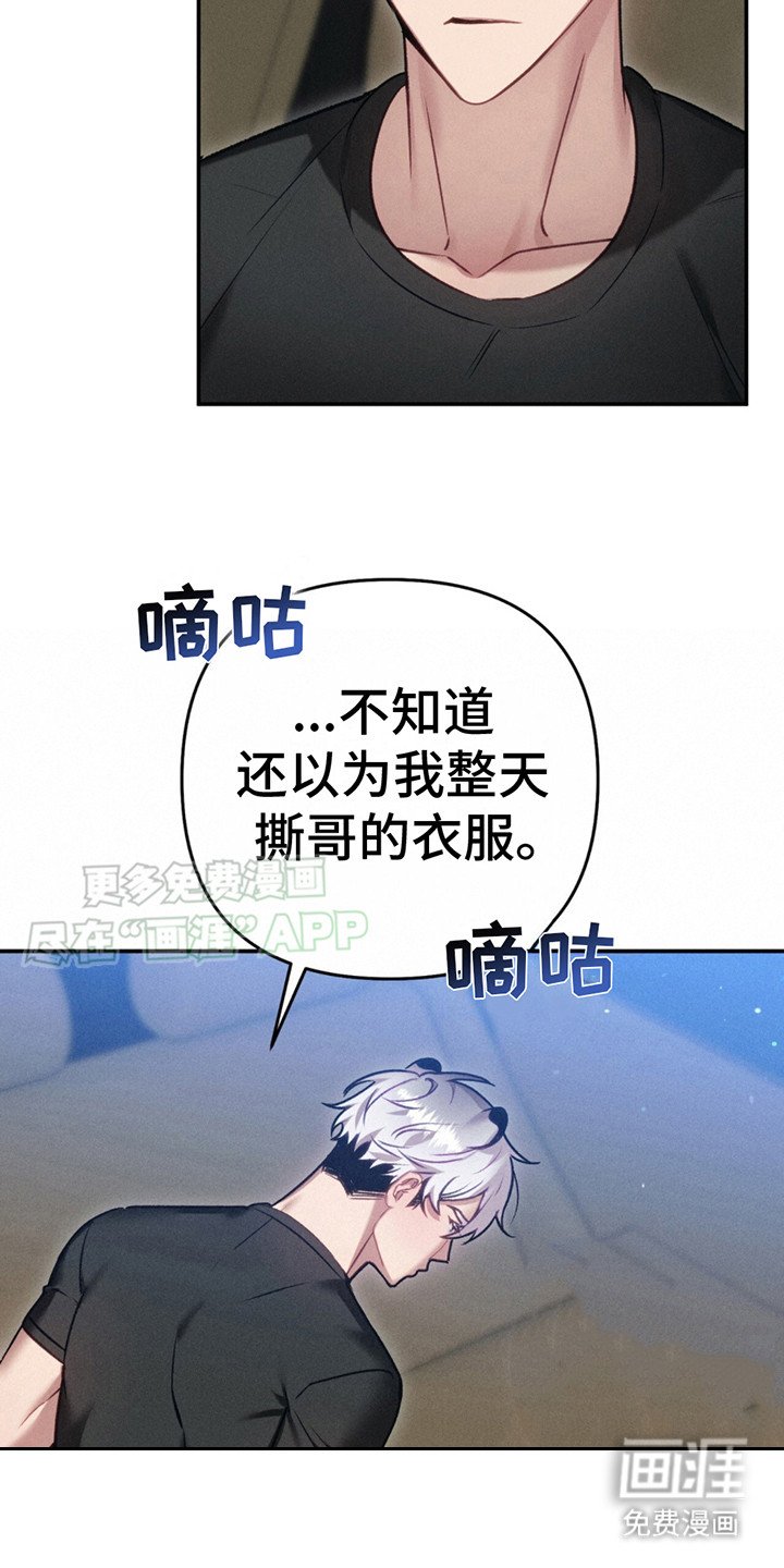 第5章：又来了