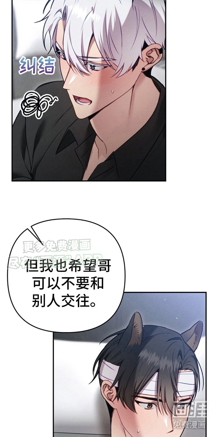 第9章：心意（完结）