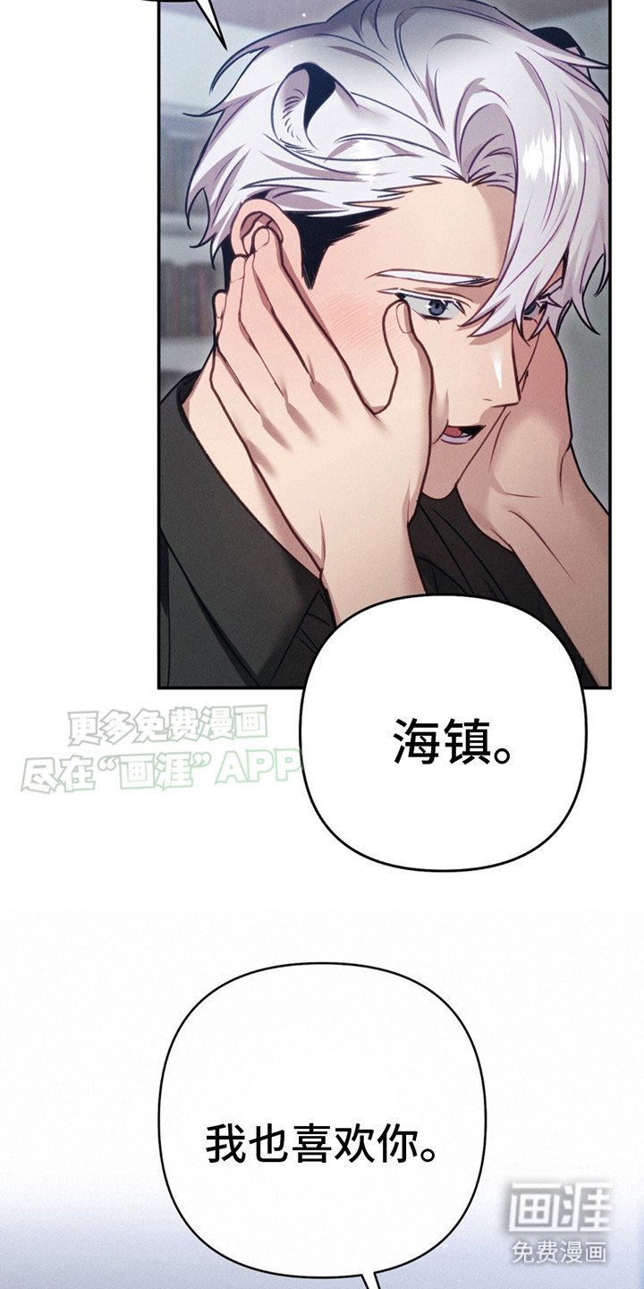 第9章：心意（完结）