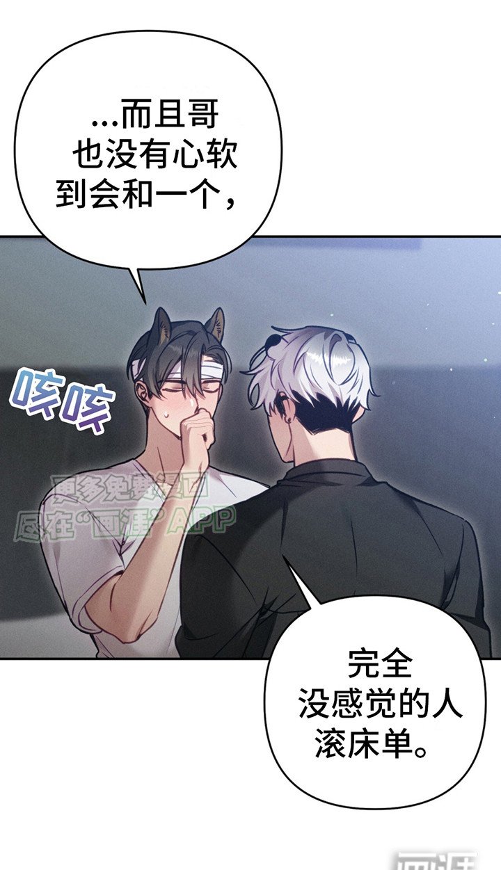 第9章：心意（完结）