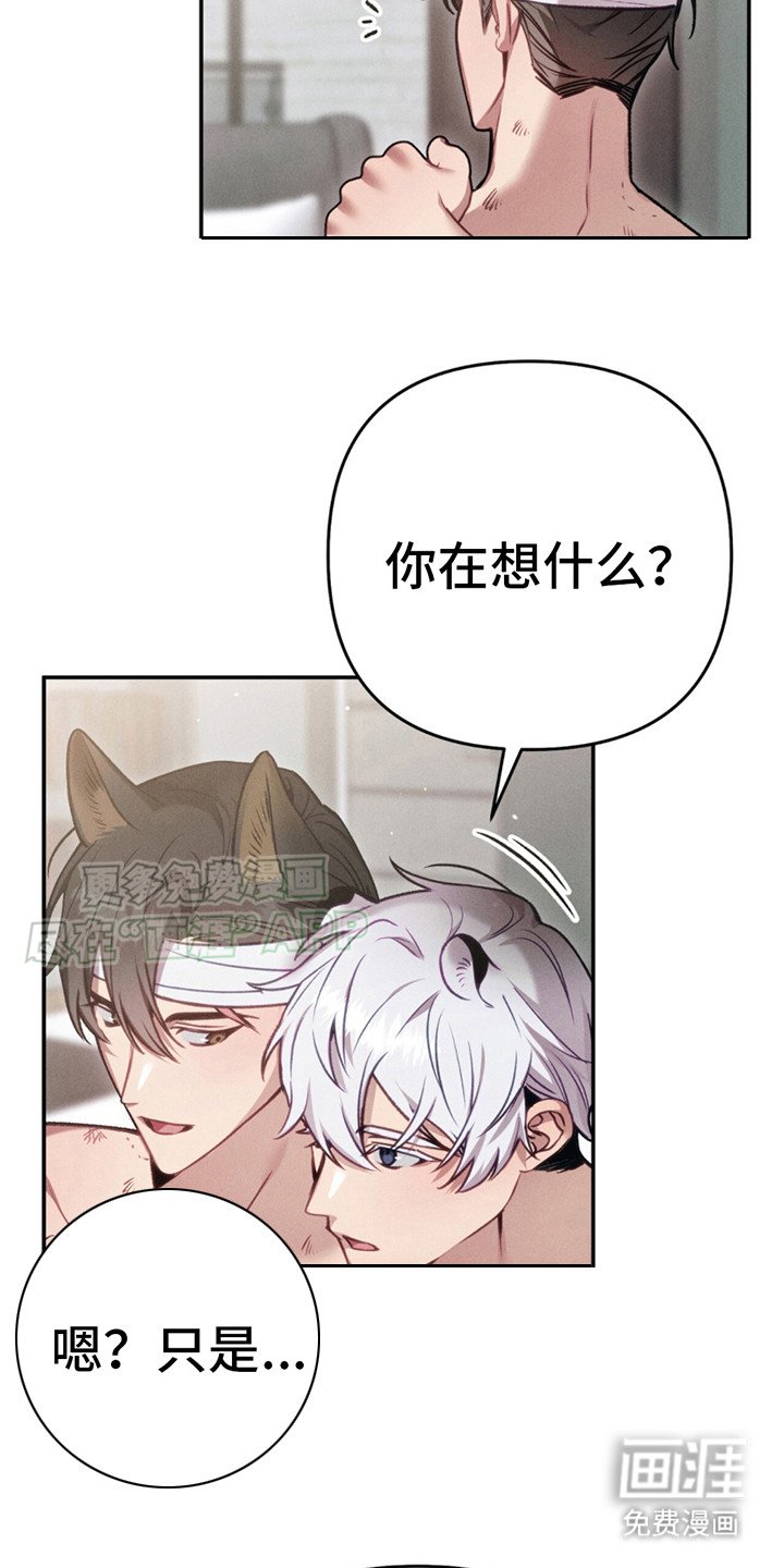 第9章：心意（完结）