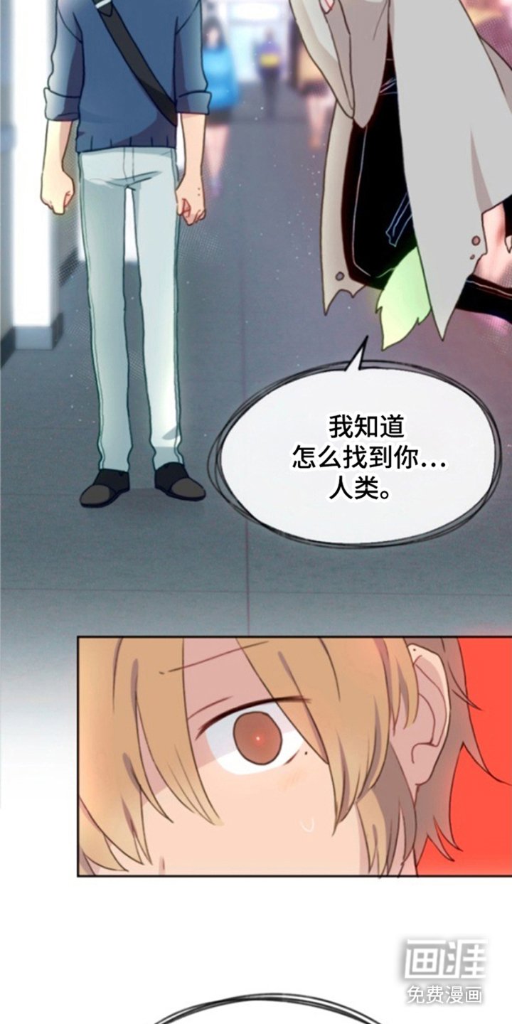 第11章：我是神