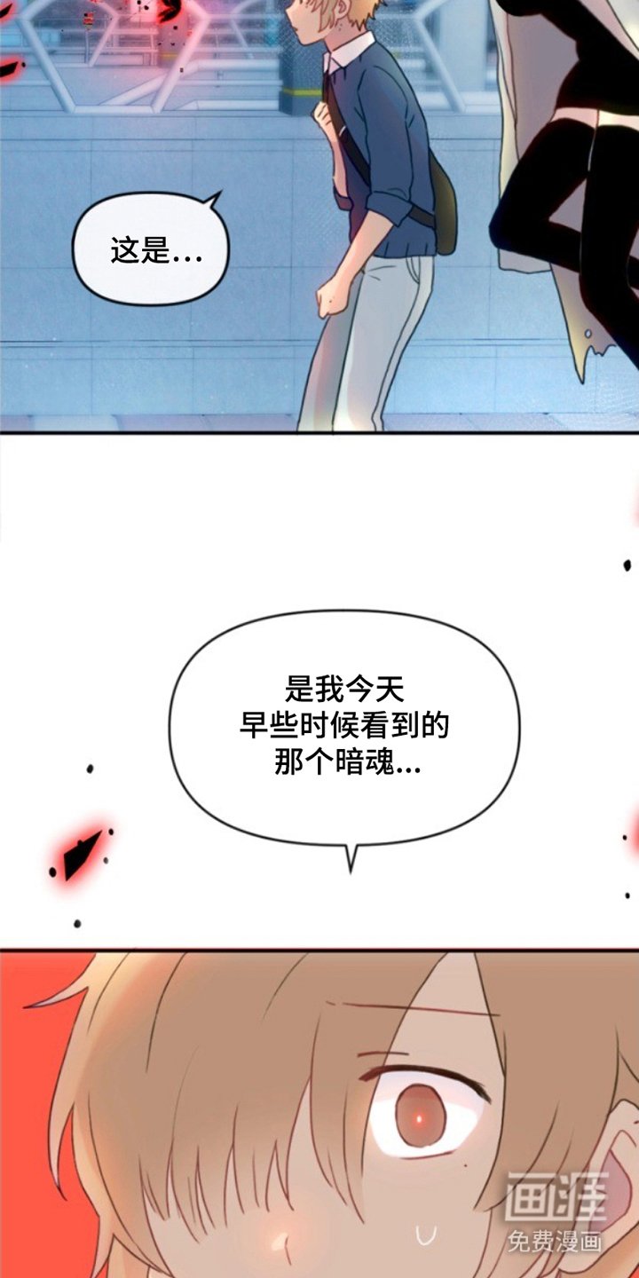 第12章：暗魂