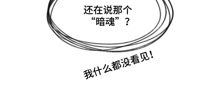 第12章：暗魂