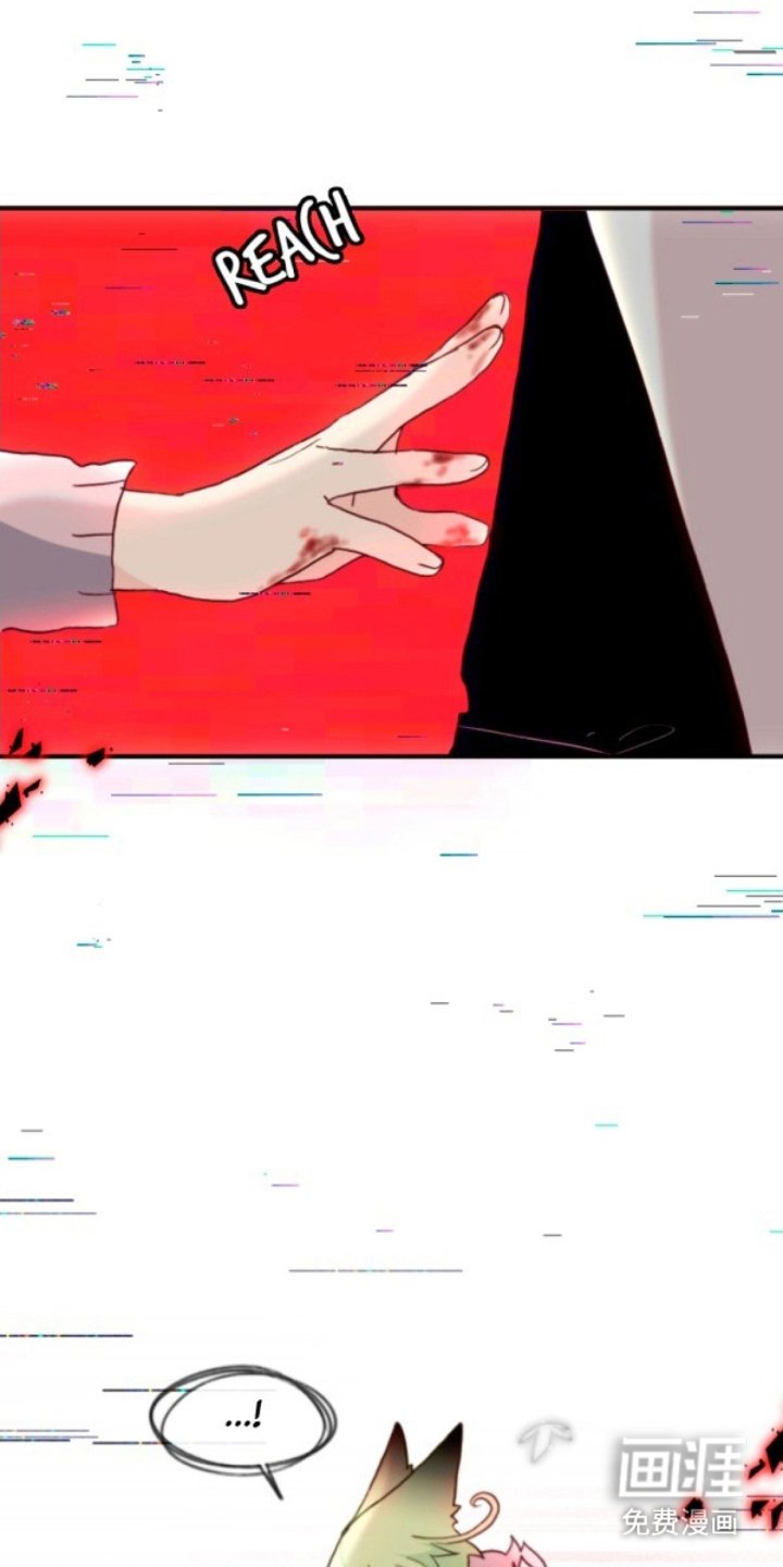 第14章：吸引注意