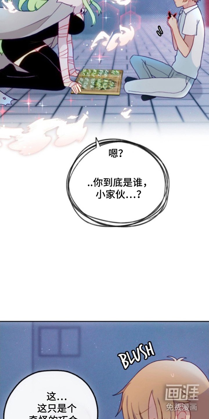 第18章：篡改