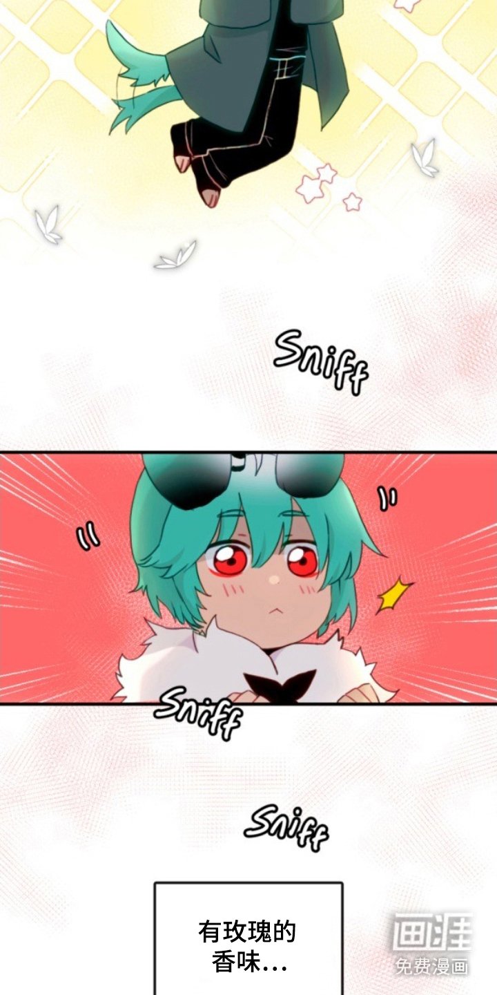 第20章：助手
