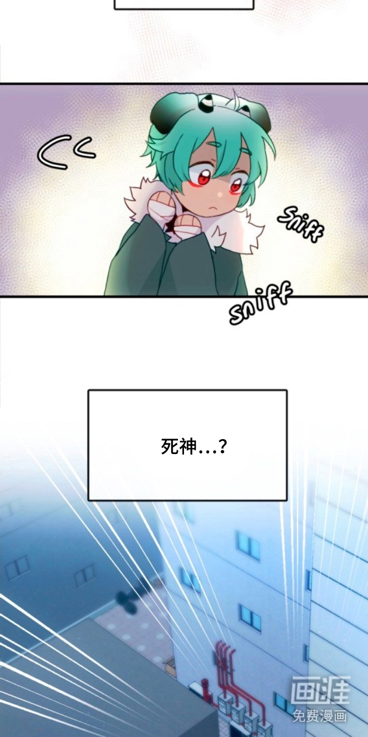 第20章：助手