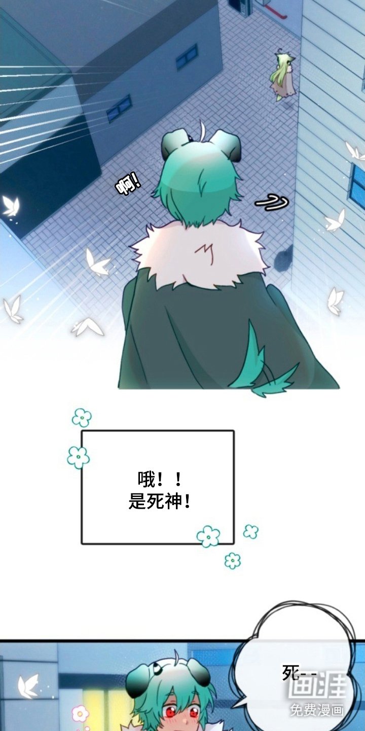 第20章：助手
