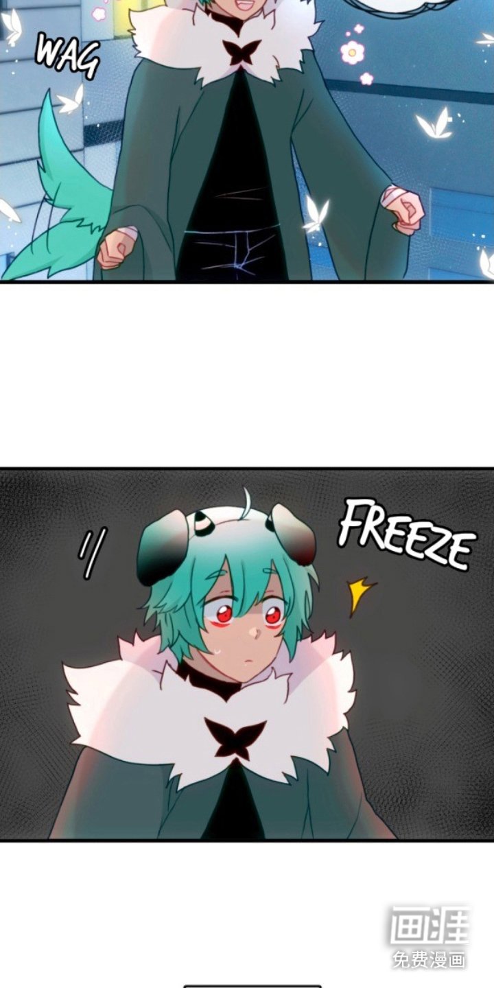 第20章：助手