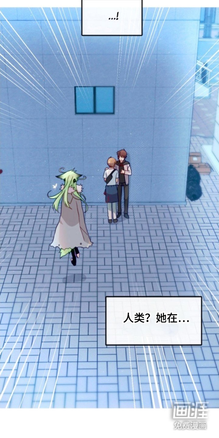 第20章：助手