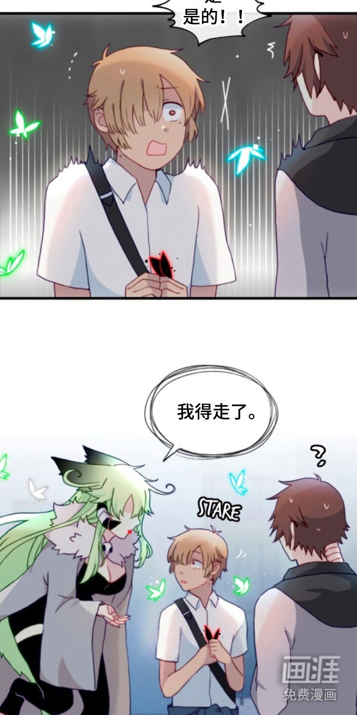 第20章：助手
