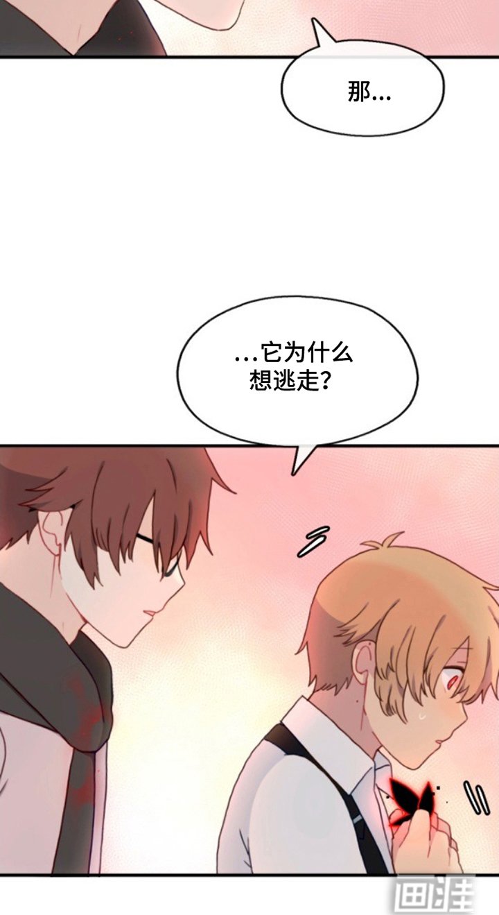 第22章：好奇