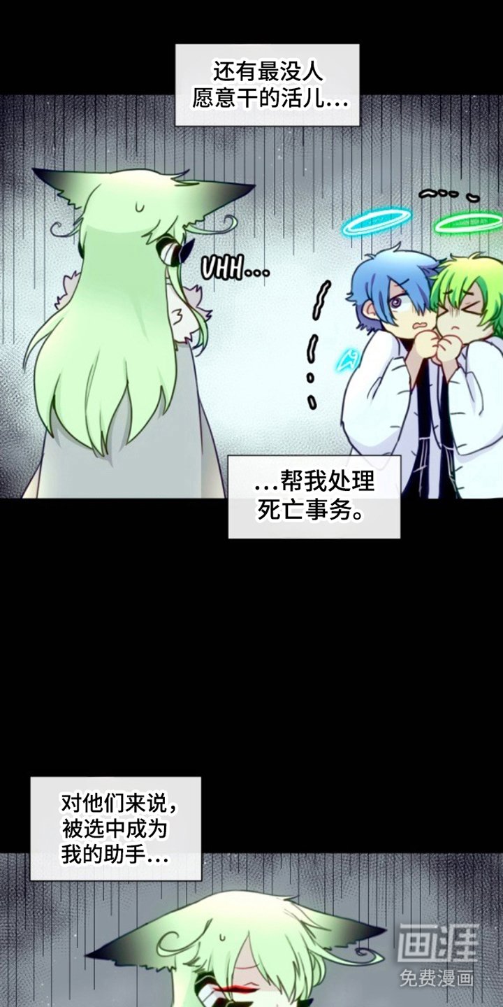 第29章：不可思议