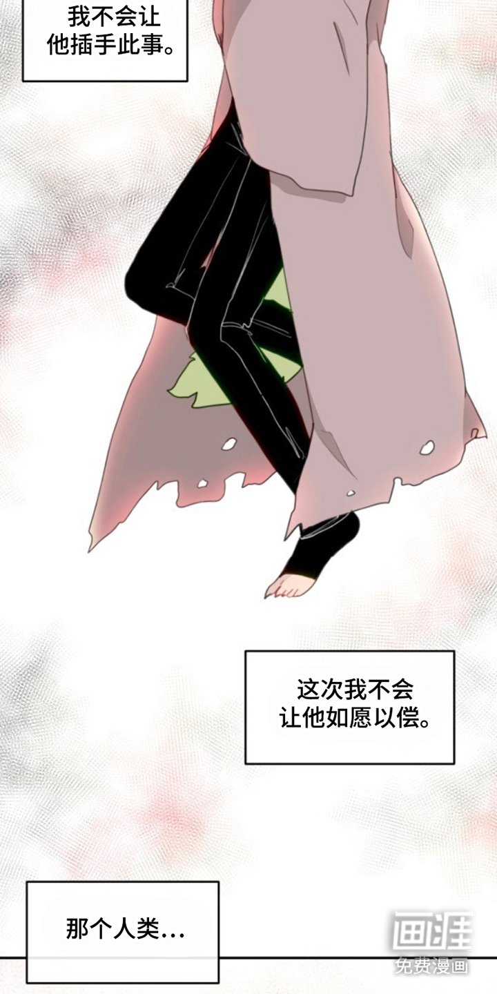 第29章：不可思议