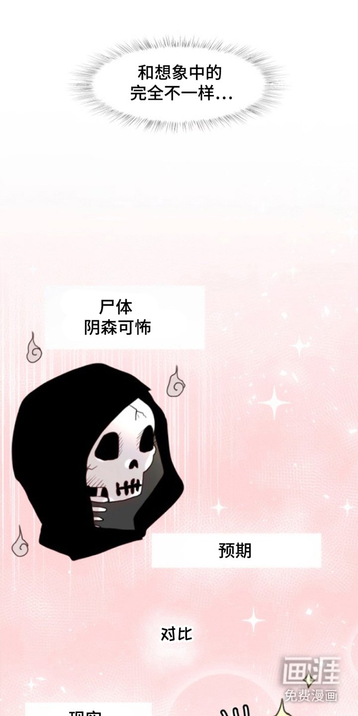第3章：感觉