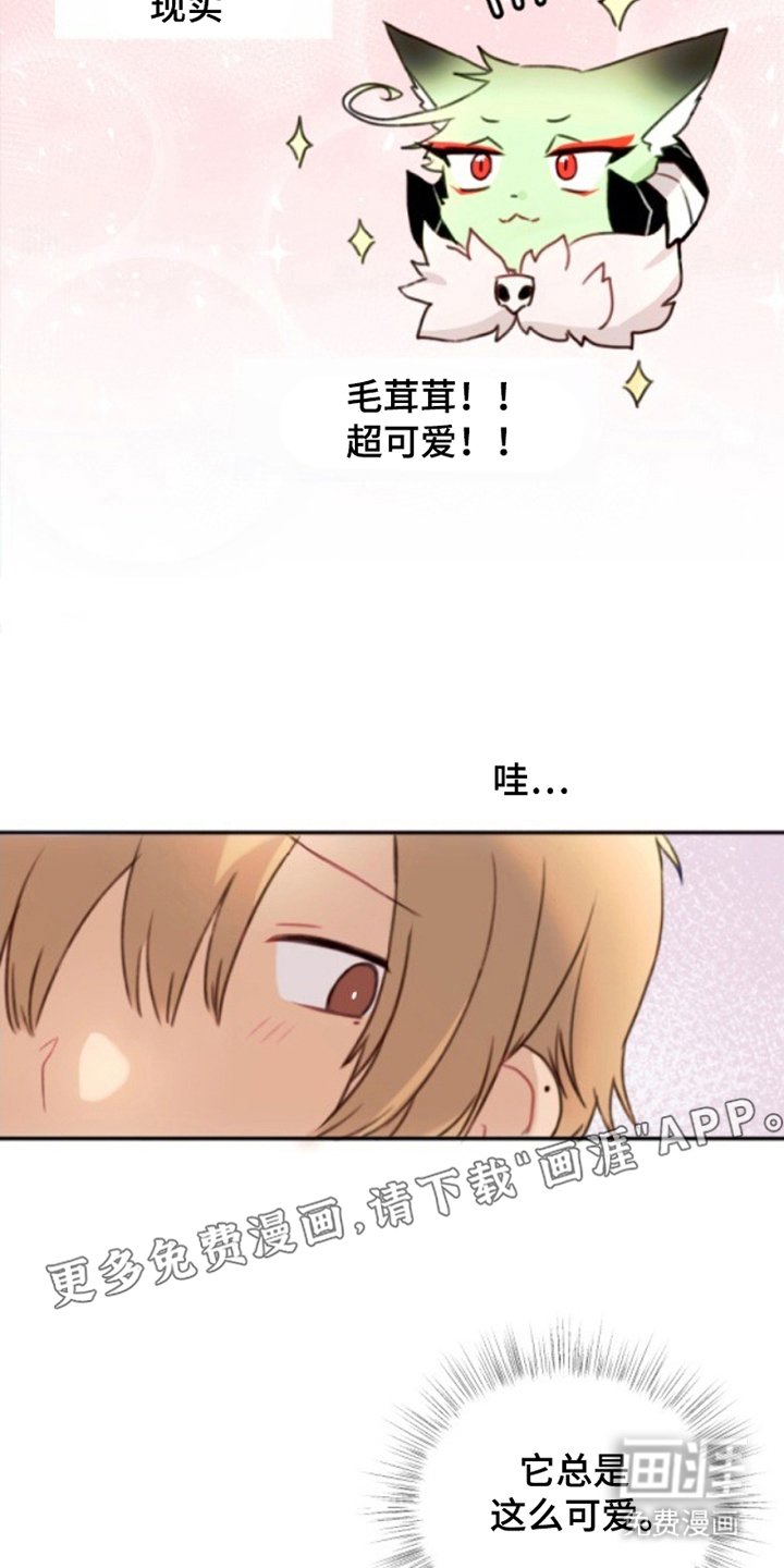 第3章：感觉