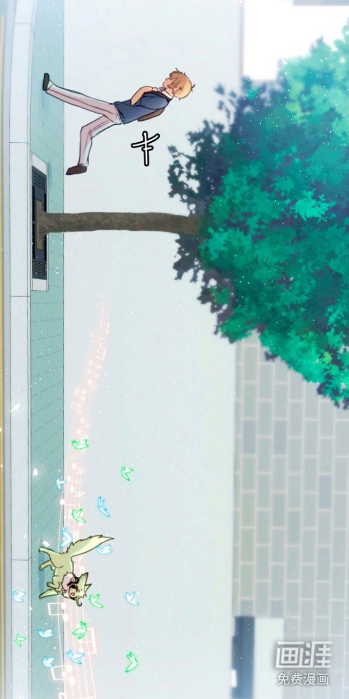 第3章：感觉