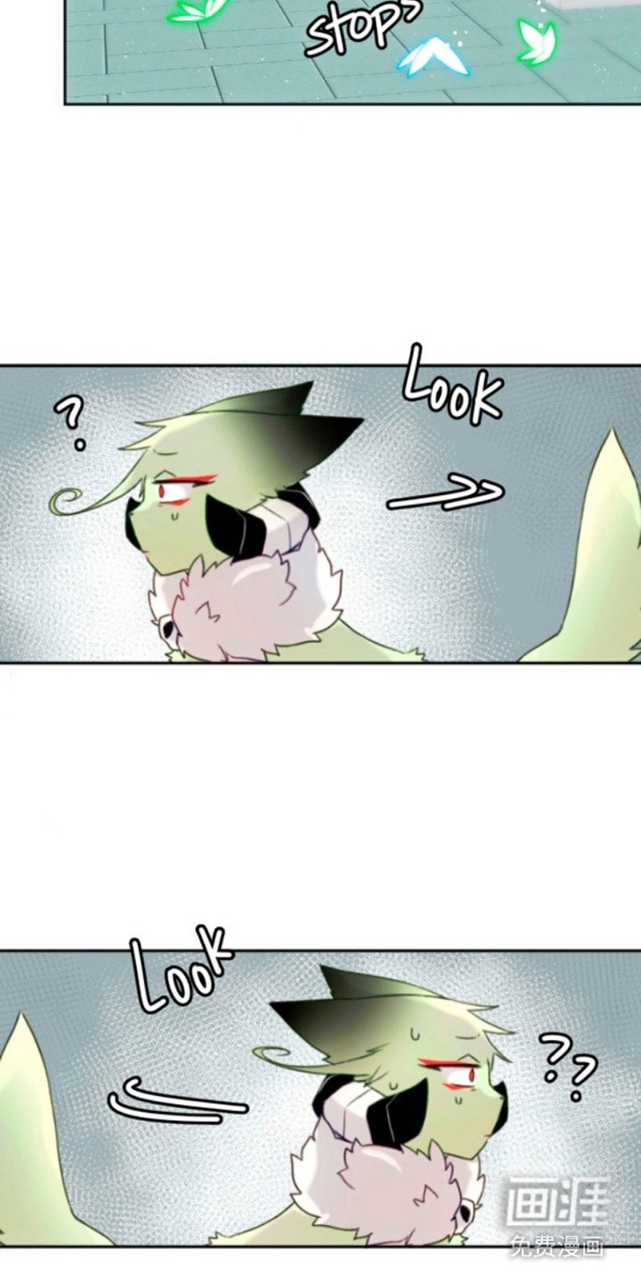 第3章：感觉