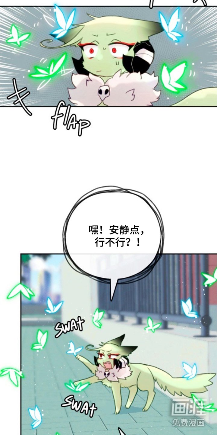 第3章：感觉