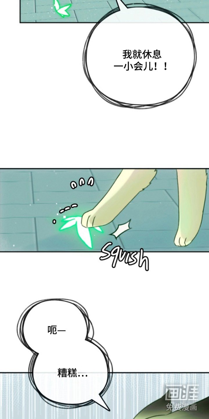 第3章：感觉