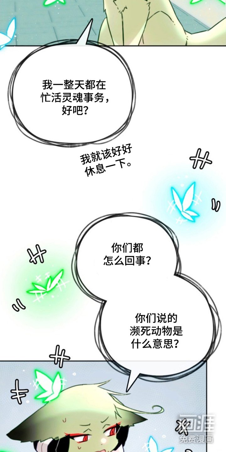 第3章：感觉