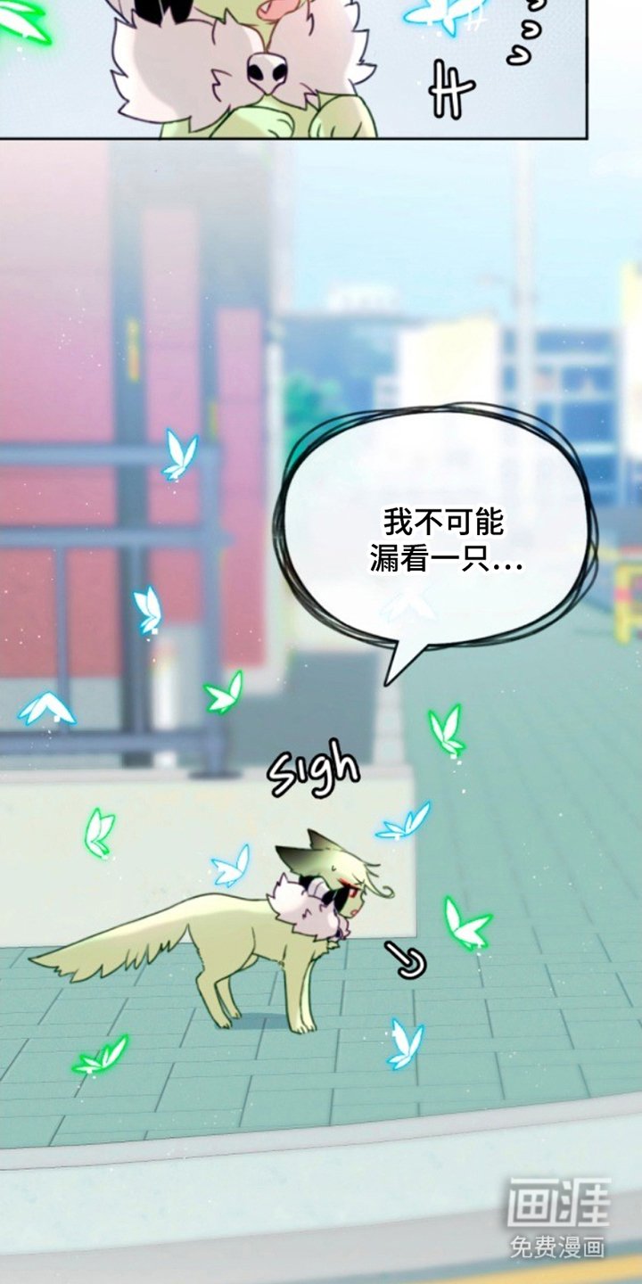 第3章：感觉