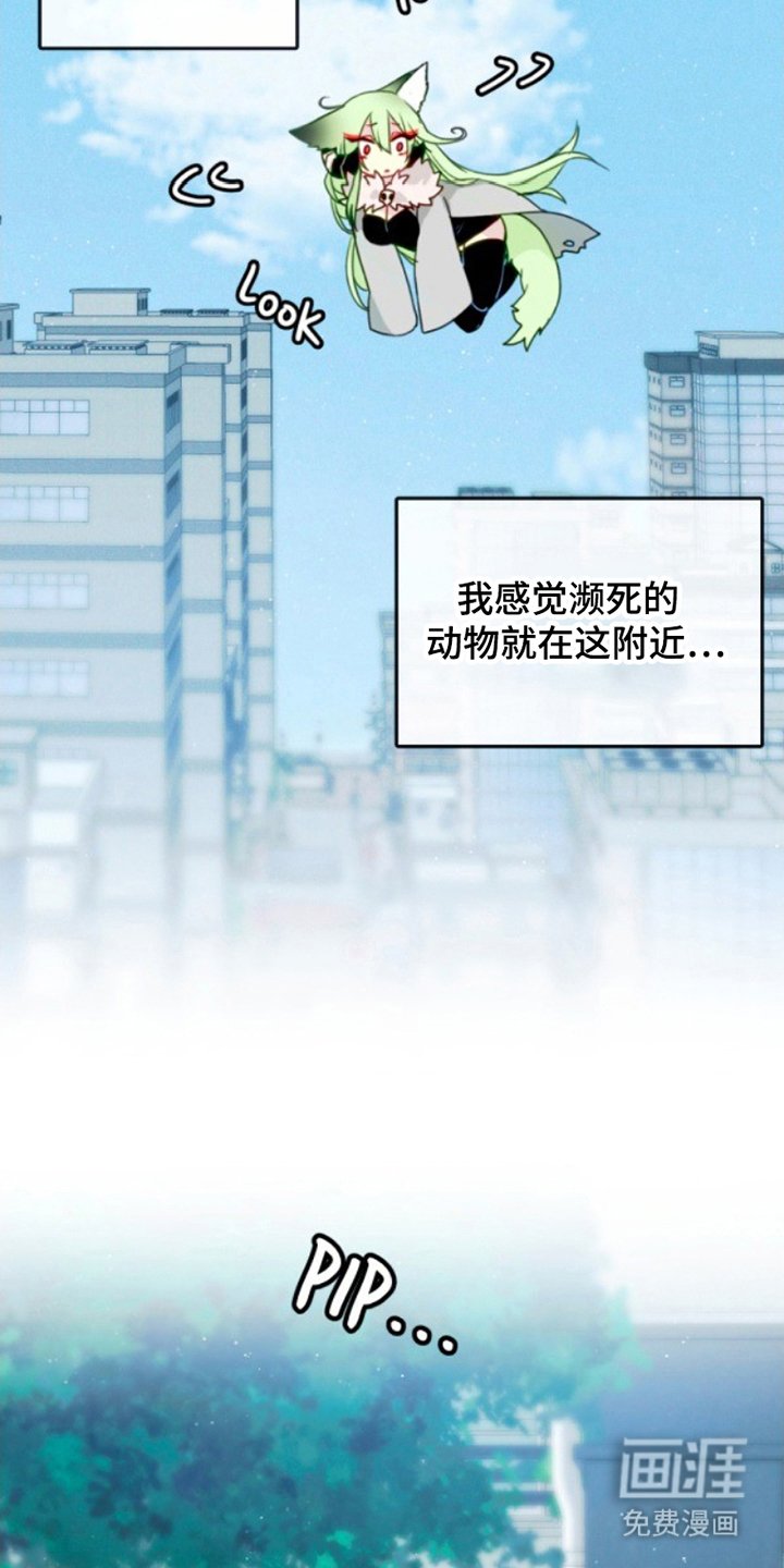 第4章：濒死的小鸟