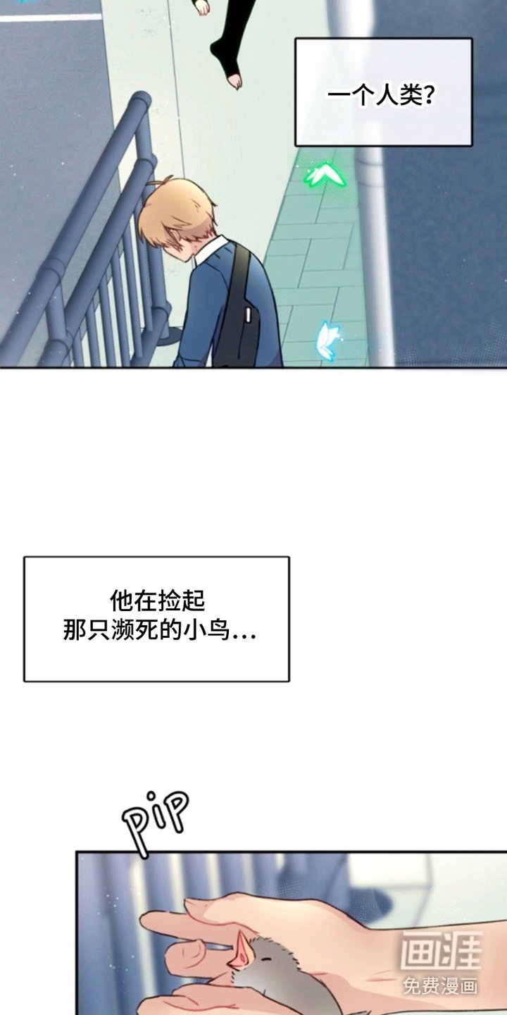 第4章：濒死的小鸟