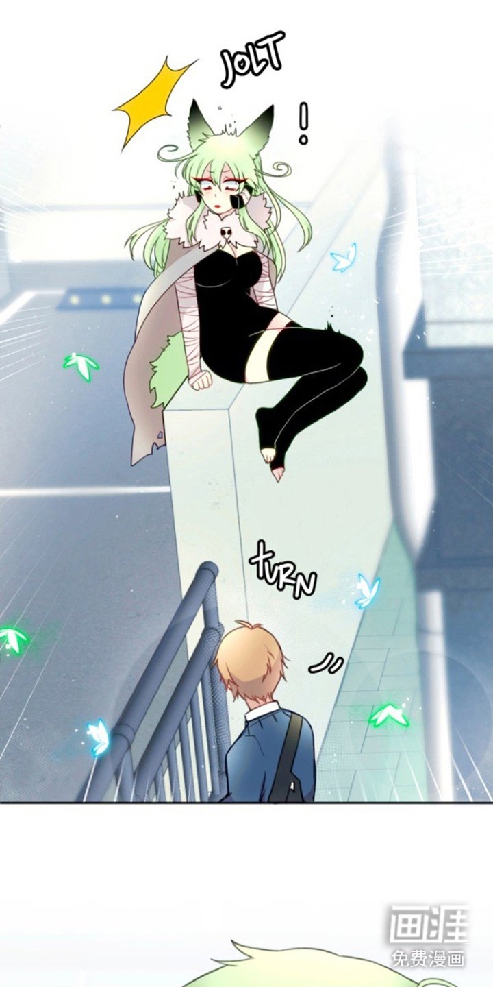 第4章：濒死的小鸟
