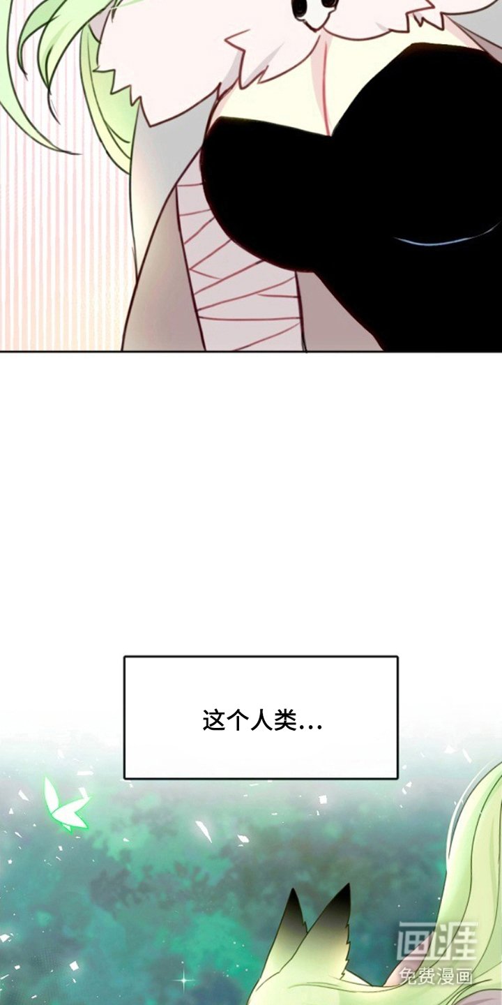 第5章：被发现