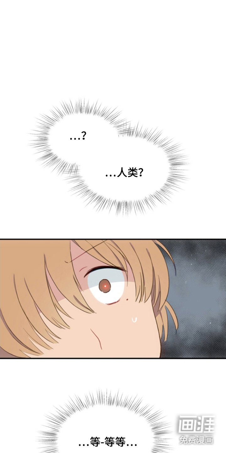 第5章：被发现